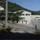 상동로375 티스토리