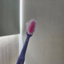 하늘물빛정원 | 금산 하늘물빛정원 스테이&amp;찜질방 필수 준비물과 후기