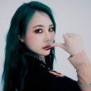 제이미 마이데일리