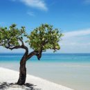 잠시 쉬어 이미지