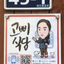 보고약업사 네이버블로그