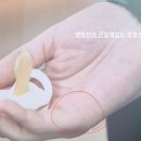 티비엔 건물주되는법 드라마에서 임 수정님 손금 이미지