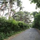 용월리지석묘군 이미지