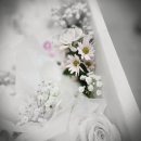 다사랑중앙병원 이미지