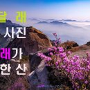 진달래가 유명한 산 / 산악사진가들이 많이 찾는 진달래 산 / 진달래가 아름다운 산 이미지