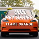 오렌지자동차 | 강남랩핑 테슬라 랩핑 OBEL FLAME ORANGE 플레임 오렌지 후기
