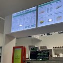 포케올데이광주