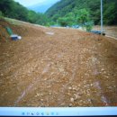 김삿갓면-19 이미지