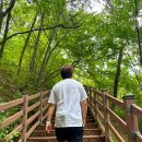 황금산암모나이트[지금-6] | 충남 서산 가볼만한곳 서해 바다 드라이브 코스 황금산 코끼리바위 몽돌해수욕장