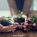 이미지뱅크 이미지