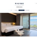 트립펫 | 숙소 7-1편 | 강릉세인트존스 호텔 펫 더블룸 내돈내산 후기 얼리체크인 (feat. 트립닷컴 환불전쟁..)