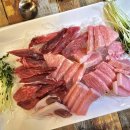 팔도어사참치 이미지