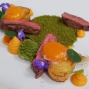 NDS(Nutrients Delivery System) flank steak nanofood with nano potato fondant, egg yolk 62°, sweet potato pure, grilled baby leeks Euro-Toques Slovaki 이미지