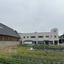 위전1리 네이버블로그