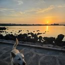 수노을동물병원 이미지