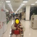 대백혼수방