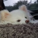 산나루식당 이미지