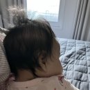 다오건설(주) | 7월 • 출산과 육아 100일 후기