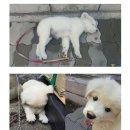 옥구지구대 이미지