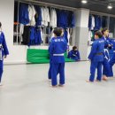 남문유도클럽 이미지