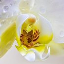 정이든 스크린골프 | 서울 중랑구 골프존파크 면목정이든스크린, 후기, 가격, 주차