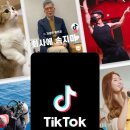 티톡 티스토리