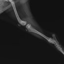 와이즈24시 동물병원 이미지