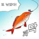 다낚아