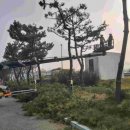 이건환경 이미지