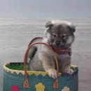 소미약국 이미지