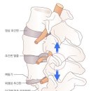(주)힐링코리아 이미지