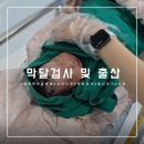 11620-10-36-6 | [임신일기]창원한마음병원 36주 막달검사 및 쌍둥이 제왕절개 출산 후기 비용 정리