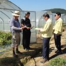 용암농장 이미지