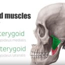 산성한의원 이미지