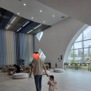 해양사자 | 시흥 거북섬 해양생태과학관 후기｜30개월 아이와 무료입장 가능한 실내 나들이 추천