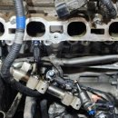 TM모터스 이미지