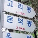 대강면 평촌마을 Daum카페