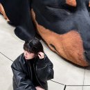 지선헤어 이미지