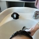 까치산역 3번출구 | [까치산역미용실/화곡미용실] 드라마틱한 클리닉 효과 “26도헤어 까치산역점“