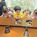 수피아어린이집 이미지