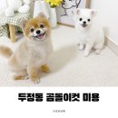 야옹아멍멍해봐 리딩샵 이미지