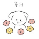 장산 세탁 이미지