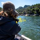 GS25 단양나루 | 충주호 유람선 여행 코스 추천, 실패 없는 단양 장회나루 완벽 가이드