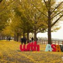 곡교천길 이미지