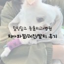힐링동물병원 | [내돈내산] 분당 힐링힐스 동물 치과병원 수술 후기 ㅣ 강아지 치아파절 수술 ㅣ 강아지 레진 ㅣ 강아지...