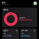 백운산약수터 | 백운산 등산 후기 (광교산 등산안내소-광교산 억새밭-백운산)