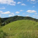 함안 말이산고분군 이미지