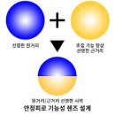 밝은눈안경 이미지