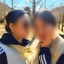 CU 창전숲길점 | [홍천 은행나무숲길과 청사초롱 마을축제] 강원도 가을 단풍 명소 가족여행 가볼만한곳, 국내 가을...