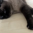 임철홍한의원 이미지